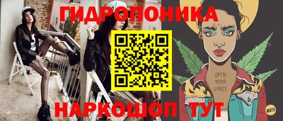 тгк Вышний Волочёк