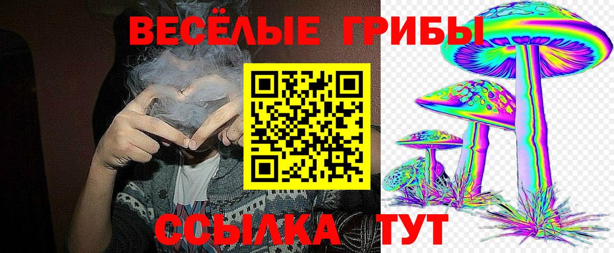 Галлюциногенные грибы мухоморы Губкин