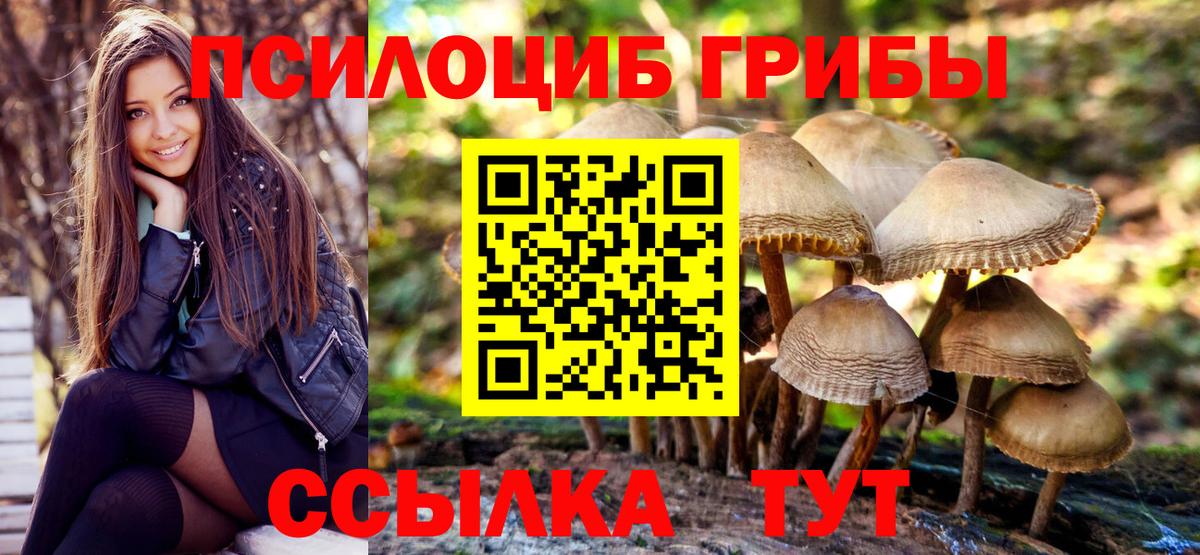 Губкин  Галлюциногенные грибы прущие грибы  Вход с VPN 